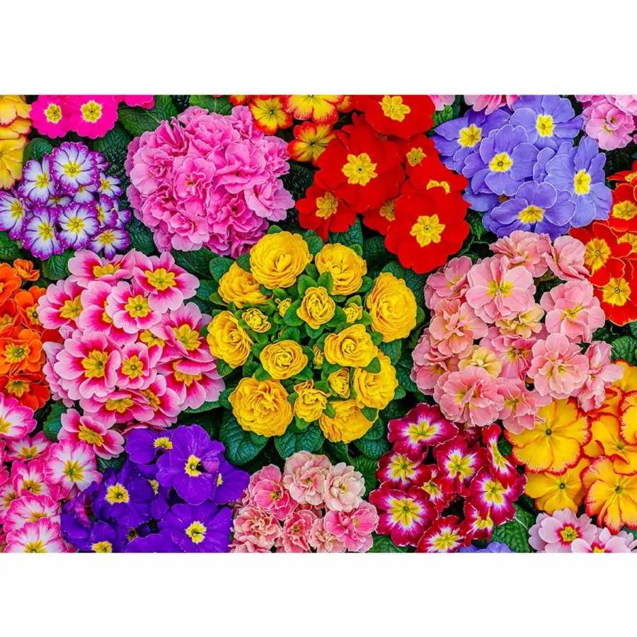 Wooden Jigsaw Puzzles Wooden City | Blooming Flowers 500 Wooden Puzzle