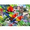 Wooden Jigsaw Puzzles Wooden City | Parrot Island 500 Wooden Puzzle